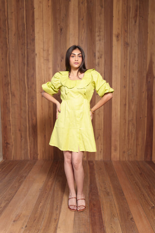 Peter Pan Collar Dress