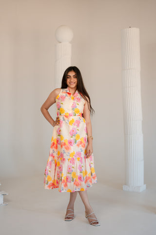 Multi Color Printed Dress