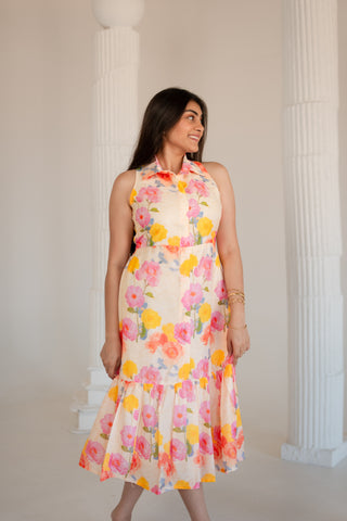 Multi Color Printed Dress