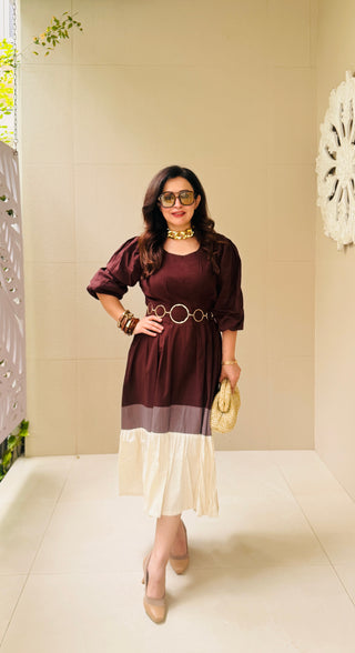 Three Color Brown Block Dress