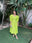 Neon Green
