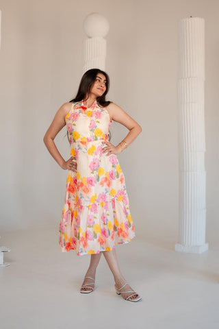 Multi Color Printed Dress